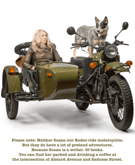 13417606_1278325235518713_4138829827171186969_n