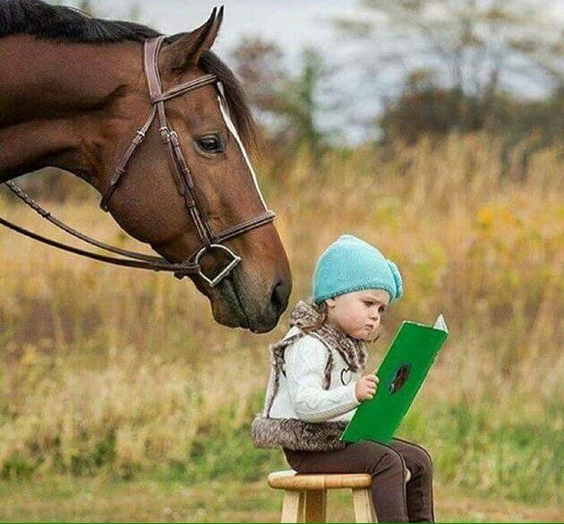 horse day in canada june 1